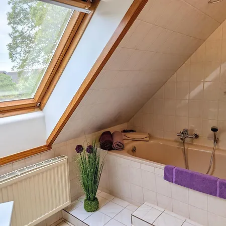 Trems Am Schweriner Apartament *